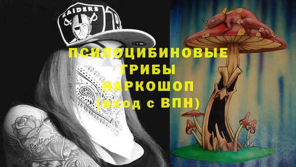 гашик Абинск