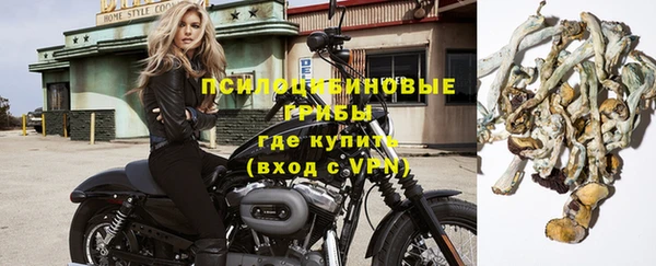 гашик Абинск