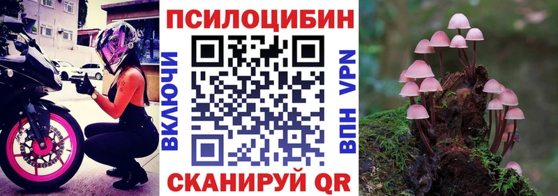 Псилоцибиновые грибы Psilocybine cubensis  OMG зеркало  Подольск 